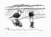 Two Seagulls / Blackback Gulls